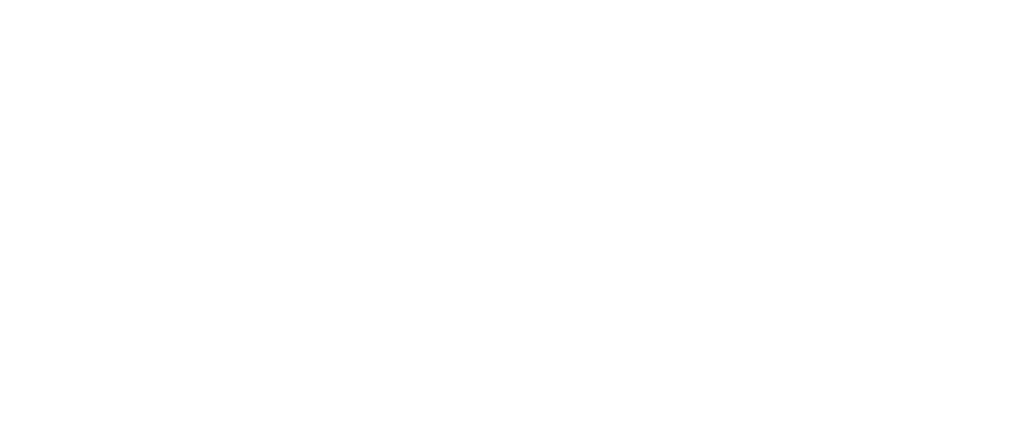 The Performance Mind Institute